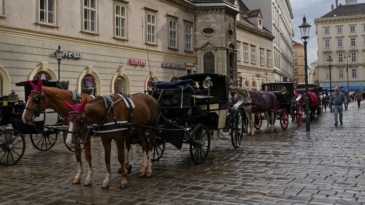 20131024 103047•Vienna•Vienna•Austria